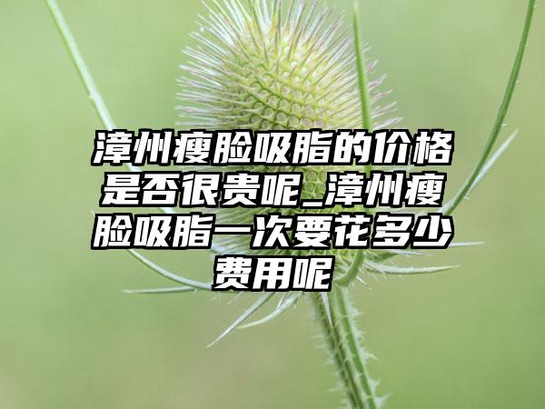 漳州瘦脸吸脂的价格是否很贵呢_漳州瘦脸吸脂一次要花多少费用呢