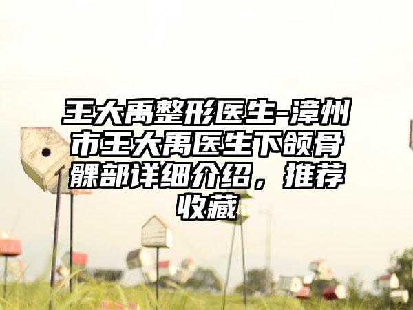 王大禹整形医生-漳州市王大禹医生下颌骨髁部详细介绍，推荐收藏