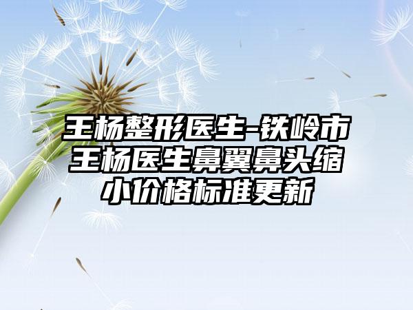 王杨整形医生-铁岭市王杨医生鼻翼鼻头缩小价格标准更新