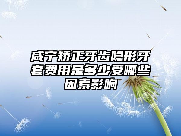 咸宁矫正牙齿隐形牙套费用是多少受哪些因素影响