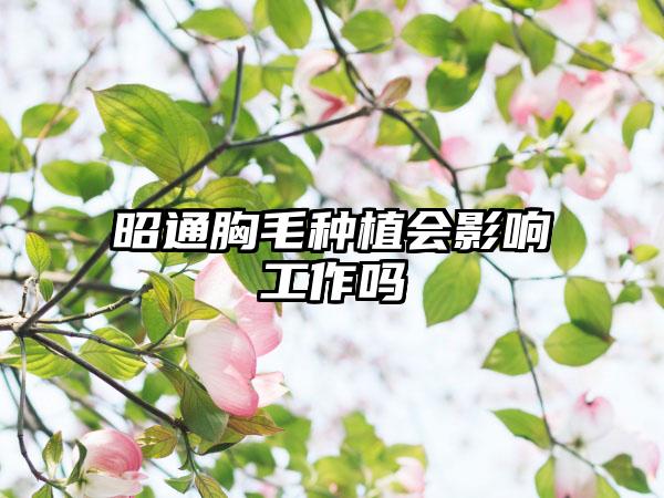 昭通胸毛种植会影响工作吗