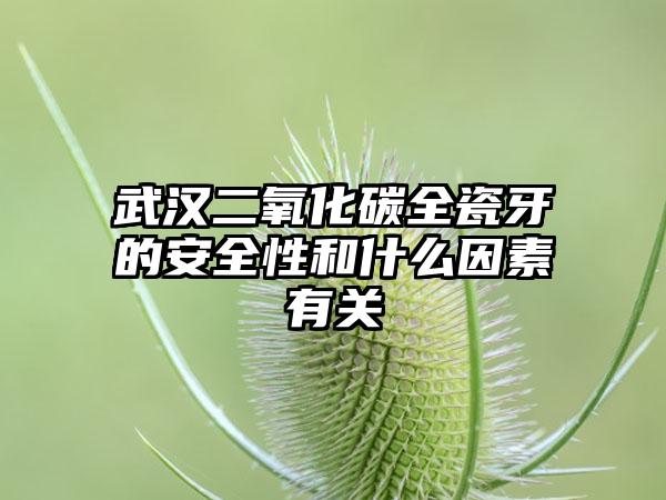 武汉二氧化碳全瓷牙的安全性和什么因素有关