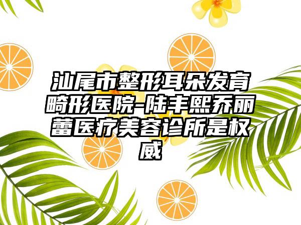 汕尾市整形耳朵发育畸形医院-陆丰熙乔丽蕾医疗美容诊所是权威