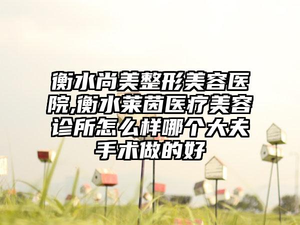 衡水尚美整形美容医院,衡水莱茵医疗美容诊所怎么样哪个大夫手术做的好