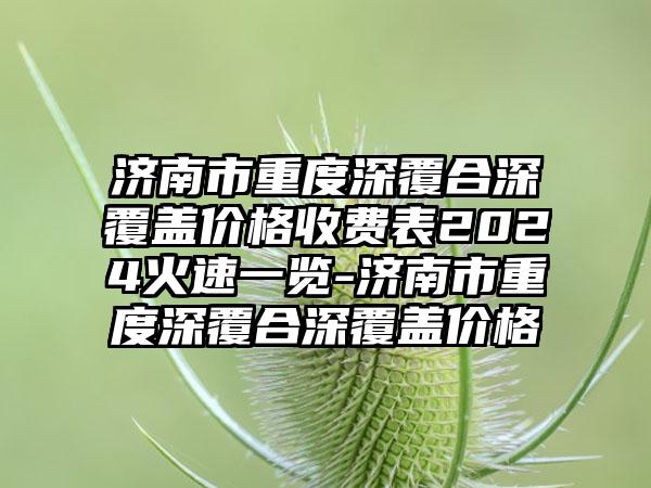 济南市重度深覆合深覆盖价格收费表2024火速一览-济南市重度深覆合深覆盖价格