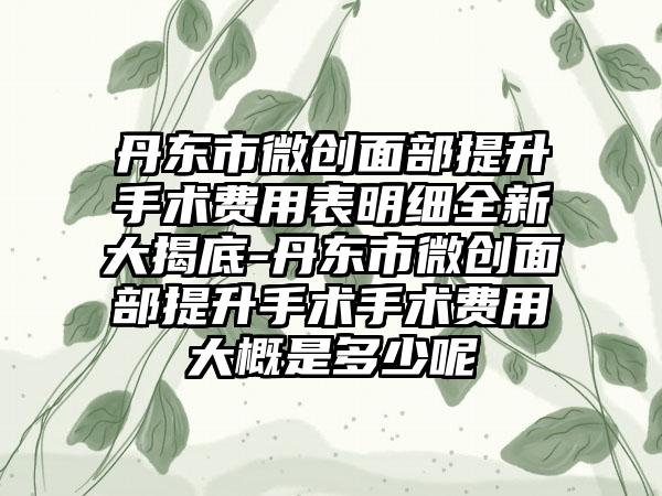 丹东市微创面部提升手术费用表明细全新大揭底-丹东市微创面部提升手术手术费用大概是多少呢