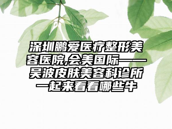 深圳鹏爱医疗整形美容医院,会美国际——吴波皮肤美容科诊所一起来看看哪些牛