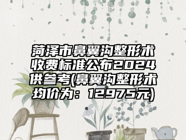 菏泽市鼻翼沟整形术收费标准公布2024供参考(鼻翼沟整形术均价为：12975元)