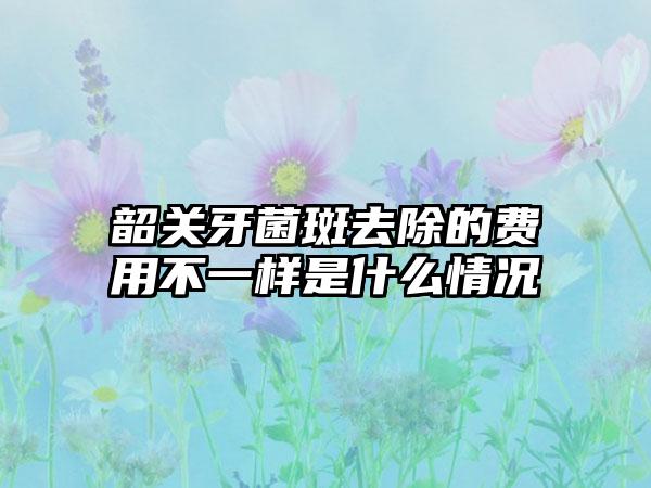 韶关牙菌斑去除的费用不一样是什么情况