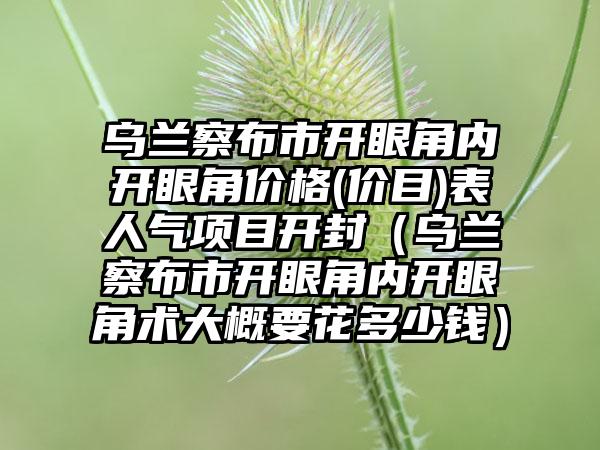 乌兰察布市开眼角内开眼角价格(价目)表人气项目开封（乌兰察布市开眼角内开眼角术大概要花多少钱）