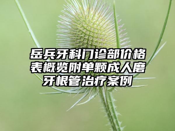 岳兵牙科门诊部价格表概览附单颗成人磨牙根管治疗案例