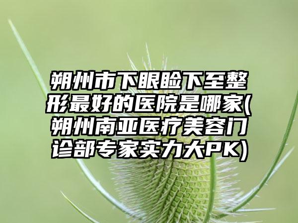 朔州市下眼睑下至整形最好的医院是哪家(朔州南亚医疗美容门诊部专家实力大PK)