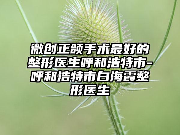 微创正颌手术最好的整形医生呼和浩特市-呼和浩特市白海霞整形医生