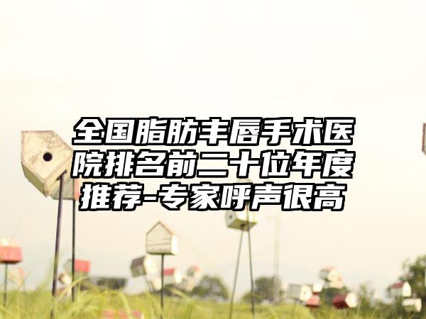 全国脂肪丰唇手术医院排名前二十位年度推荐-专家呼声很高