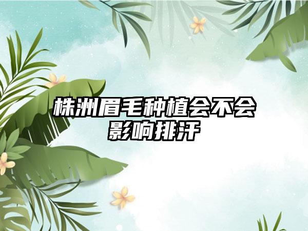 株洲眉毛种植会不会影响排汗