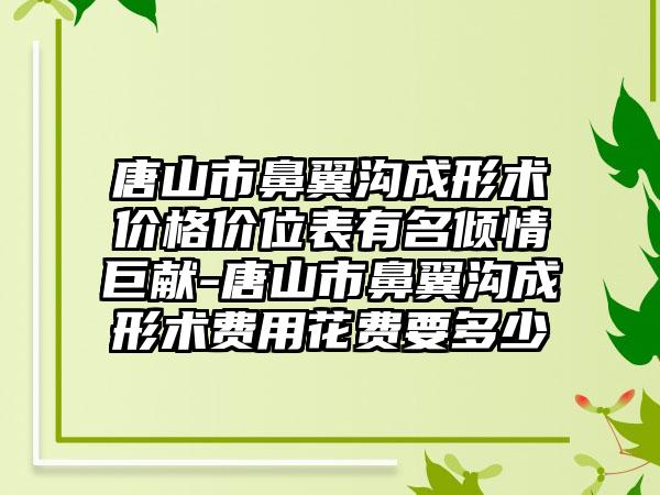 唐山市鼻翼沟成形术价格价位表有名倾情巨献-唐山市鼻翼沟成形术费用花费要多少