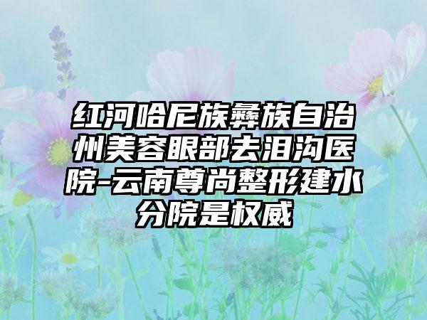 红河哈尼族彝族自治州美容眼部去泪沟医院-云南尊尚整形建水分院是权威