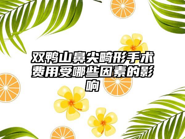 双鸭山鼻尖畸形手术费用受哪些因素的影响