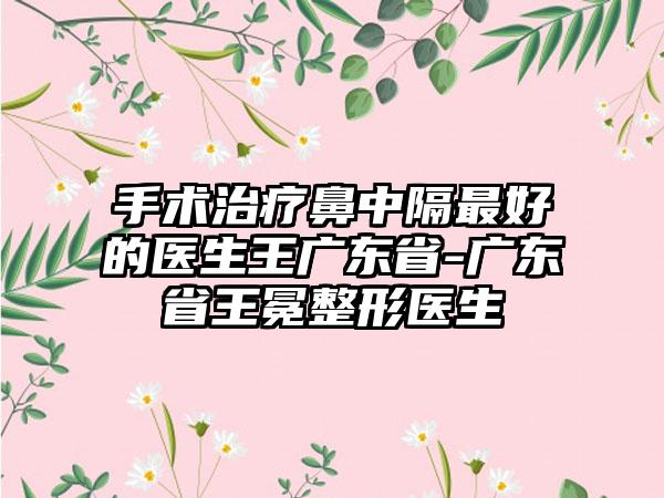 手术治疗鼻中隔最好的医生王广东省-广东省王冕整形医生