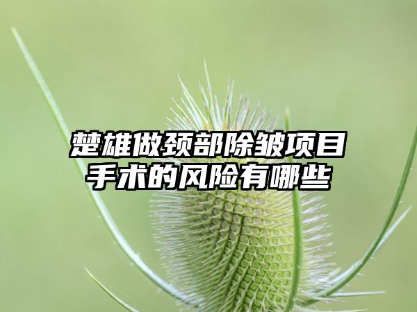 楚雄做颈部除皱项目手术的风险有哪些