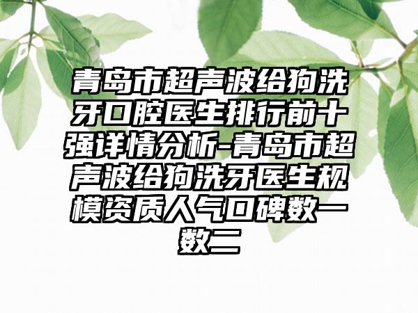 青岛市超声波给狗洗牙口腔医生排行前十强详情分析-青岛市超声波给狗洗牙医生规模资质人气口碑数一数二