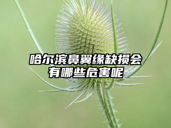 哈尔滨鼻翼缘缺损会有哪些危害呢