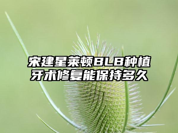 宋建星莱顿BLB种植牙术修复能保持多久