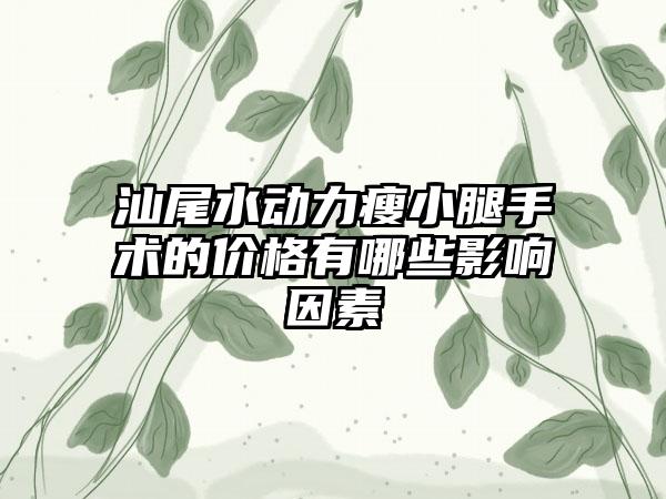 汕尾水动力瘦小腿手术的价格有哪些影响因素