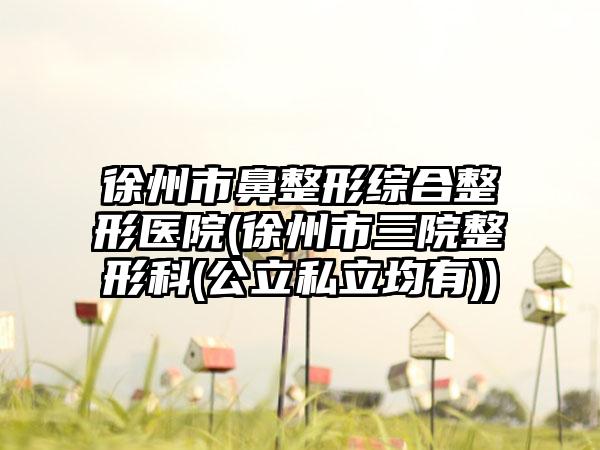 徐州市鼻整形综合整形医院(徐州市三院整形科(公立私立均有))