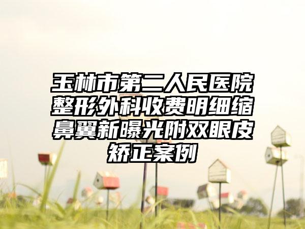 玉林市第二人民医院整形外科收费明细缩鼻翼新曝光附双眼皮矫正案例