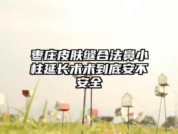 枣庄皮肤缝合法鼻小柱延长术术到底安不安全