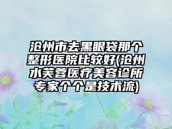 沧州市去黑眼袋那个整形医院比较好(沧州水芙蓉医疗美容诊所专家个个是技术流)