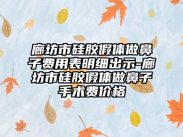 廊坊市硅胶假体做鼻子费用表明细出示-廊坊市硅胶假体做鼻子手术费价格