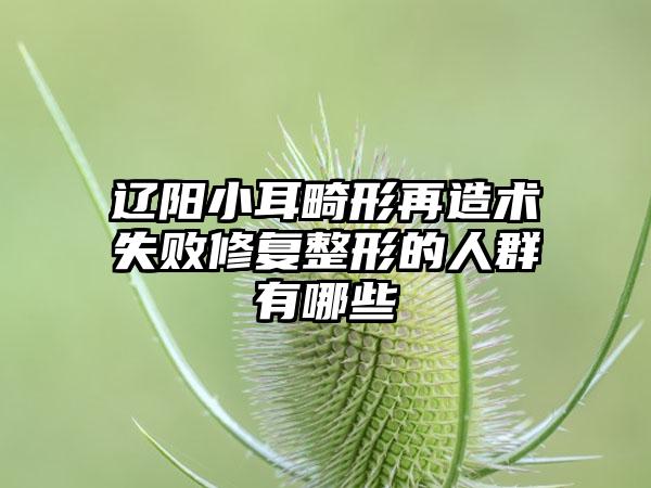 辽阳小耳畸形再造术失败修复整形的人群有哪些