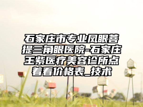 石家庄市专业凤眼菩提三角眼医院-石家庄王紫医疗美容诊所点着看价格表_技术