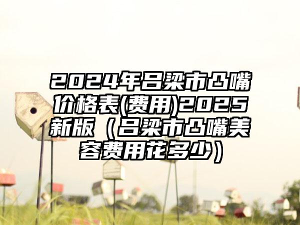 2024年吕梁市凸嘴价格表(费用)2025新版（吕梁市凸嘴美容费用花多少）