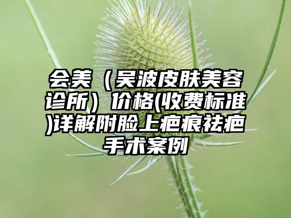 会美（吴波皮肤美容诊所）价格(收费标准)详解附脸上疤痕祛疤手术案例