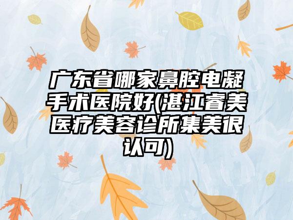 广东省哪家鼻腔电凝手术医院好(湛江睿美医疗美容诊所集美很认可)