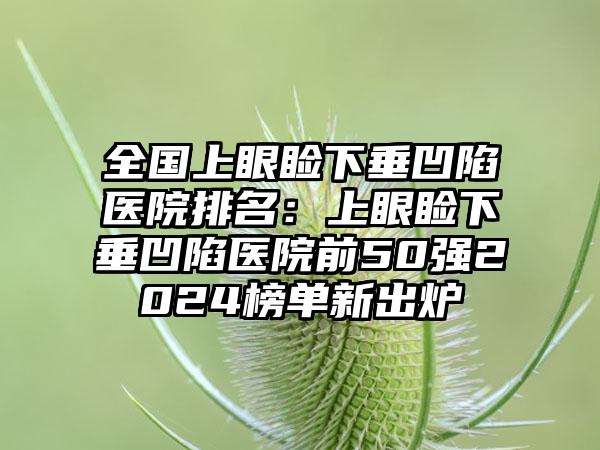 全国上眼睑下垂凹陷医院排名：上眼睑下垂凹陷医院前50强2024榜单新出炉