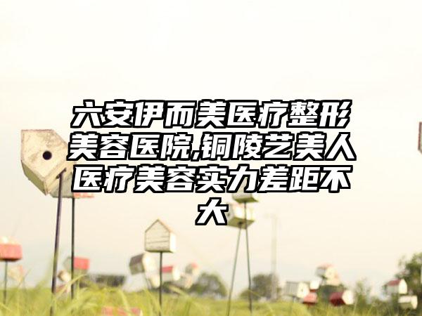 六安伊而美医疗整形美容医院,铜陵艺美人医疗美容实力差距不大