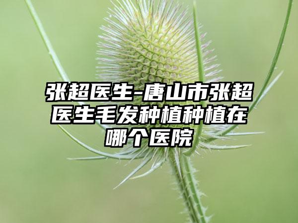 张超医生-唐山市张超医生毛发种植种植在哪个医院