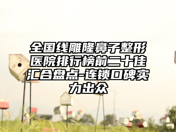 全国线雕隆鼻子整形医院排行榜前二十佳汇合盘点-连锁口碑实力出众