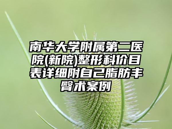 南华大学附属第二医院(新院)整形科价目表详细附自己脂肪丰臀术案例