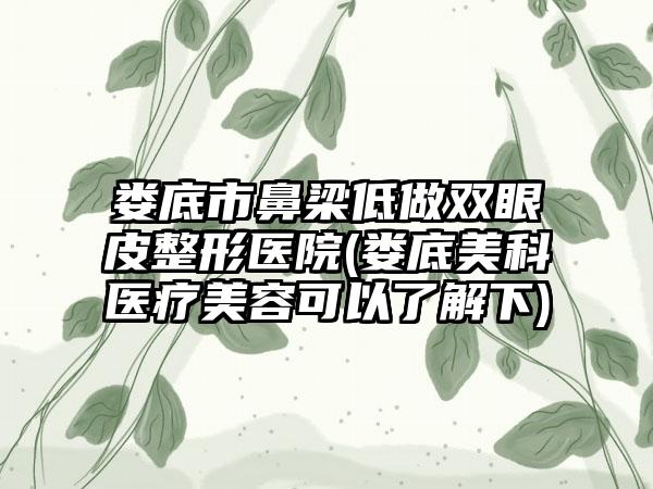 娄底市鼻梁低做双眼皮整形医院(娄底美科医疗美容可以了解下)