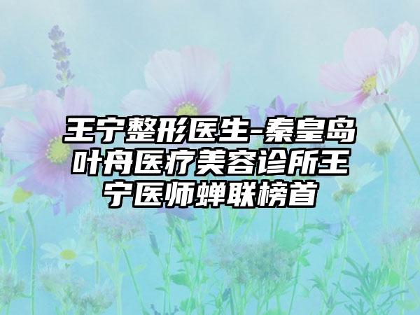 王宁整形医生-秦皇岛叶舟医疗美容诊所王宁医师蝉联榜首