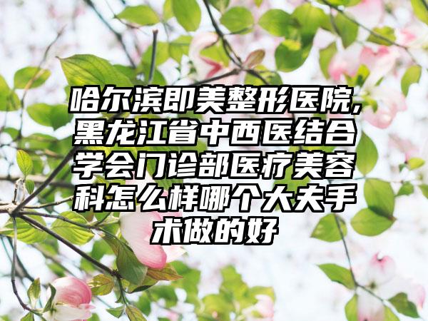 哈尔滨即美整形医院,黑龙江省中西医结合学会门诊部医疗美容科怎么样哪个大夫手术做的好