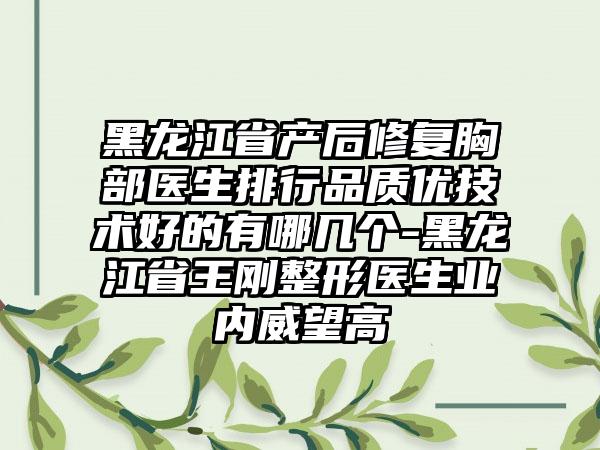 黑龙江省产后修复胸部医生排行品质优技术好的有哪几个-黑龙江省王刚整形医生业内威望高