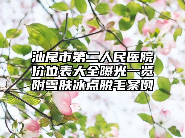 汕尾市第二人民医院价位表大全曝光一览附雪肤冰点脱毛案例